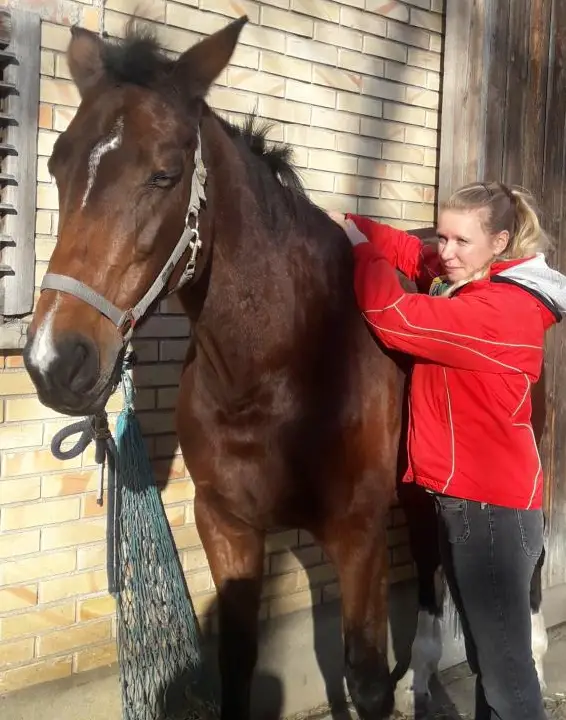 Individuelle Bachblütenmischungen für Mensch und Tier