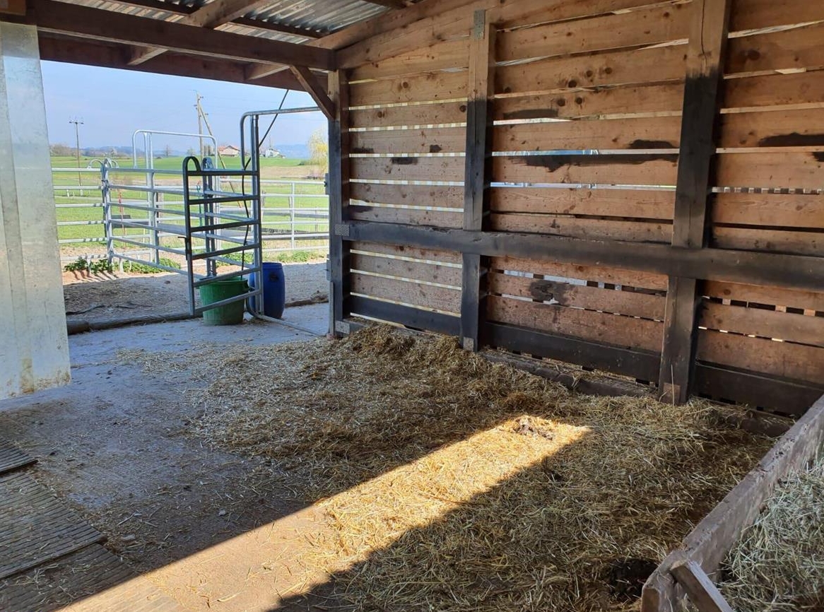 Rustikaler Offenstall Vollpension oder Selbstversorger