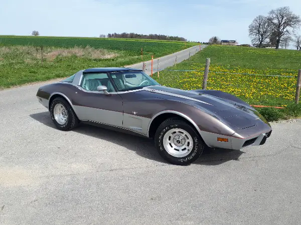 1979 Corvette C3 - Veteran