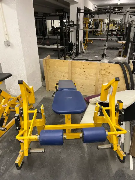 Hammer strenght leg curl sdraiato