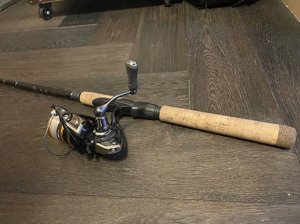 canna da pesca Shimano