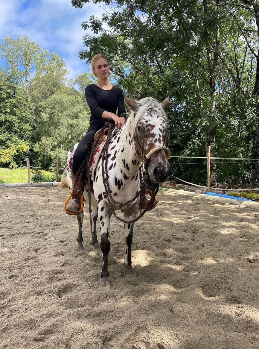 Pony of Americas Wallach, Therapie, Familien & Turnierpferd