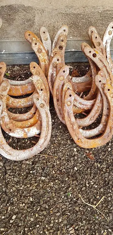 Hufeisen Glücksbringer