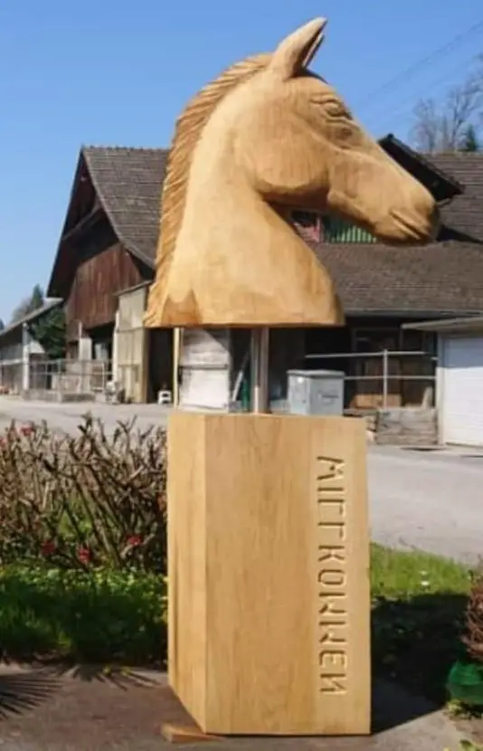 Grosse Auslaufsboxe zu vermieten in Luzern/Littau