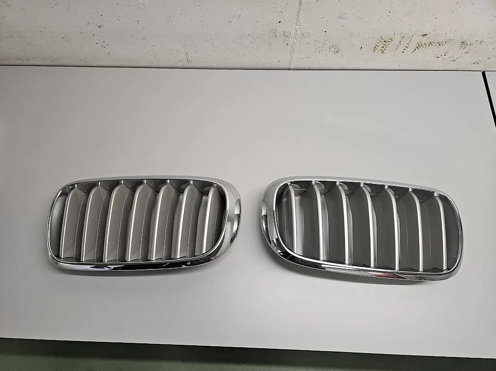 Kühlergrill für X5 F 15