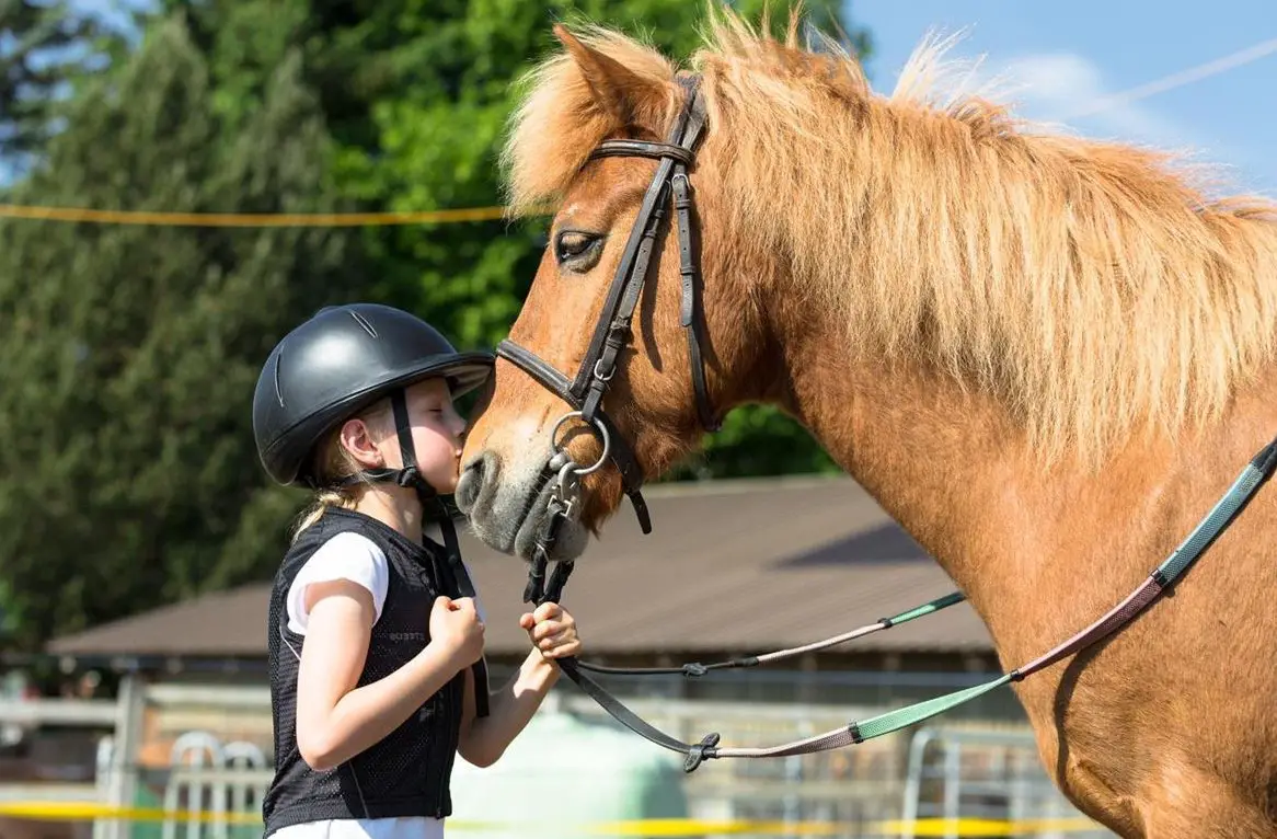 Sommerferienjob mit Kinder und Tieren - Pony, Ziegen, 1 Hund