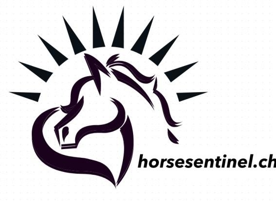 Fohlengeburtsmelder HorseSentinel