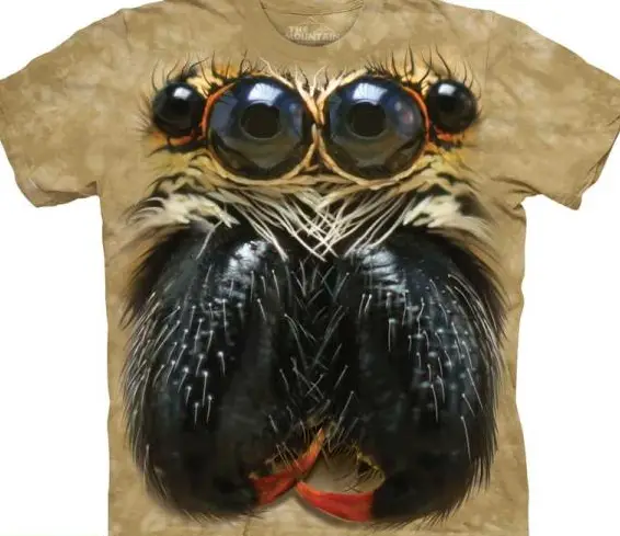 Lebensechte T-Shirts mit Bartagame oder Spinne Motiven