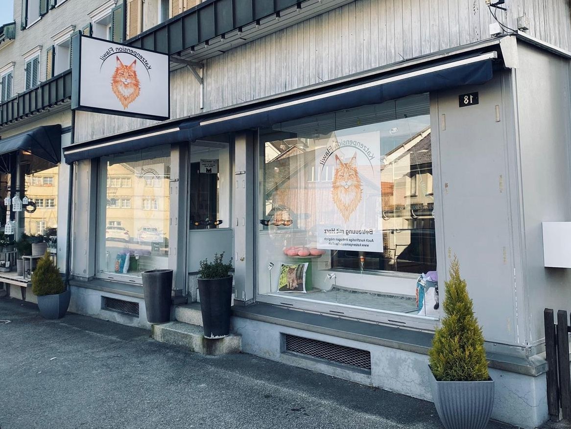 Katzenpension Flawil bietet Betreuung mit Herz ??