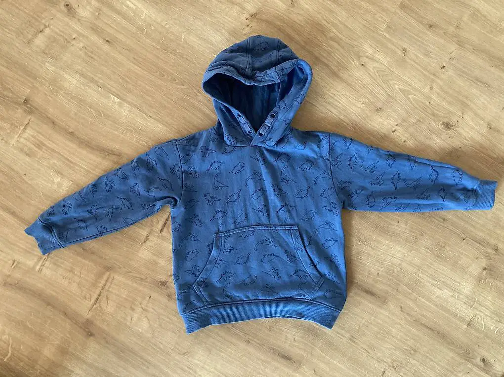 Kapuzenpulli Dino 110/116