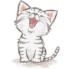 Baby Katze / Kitten gesucht