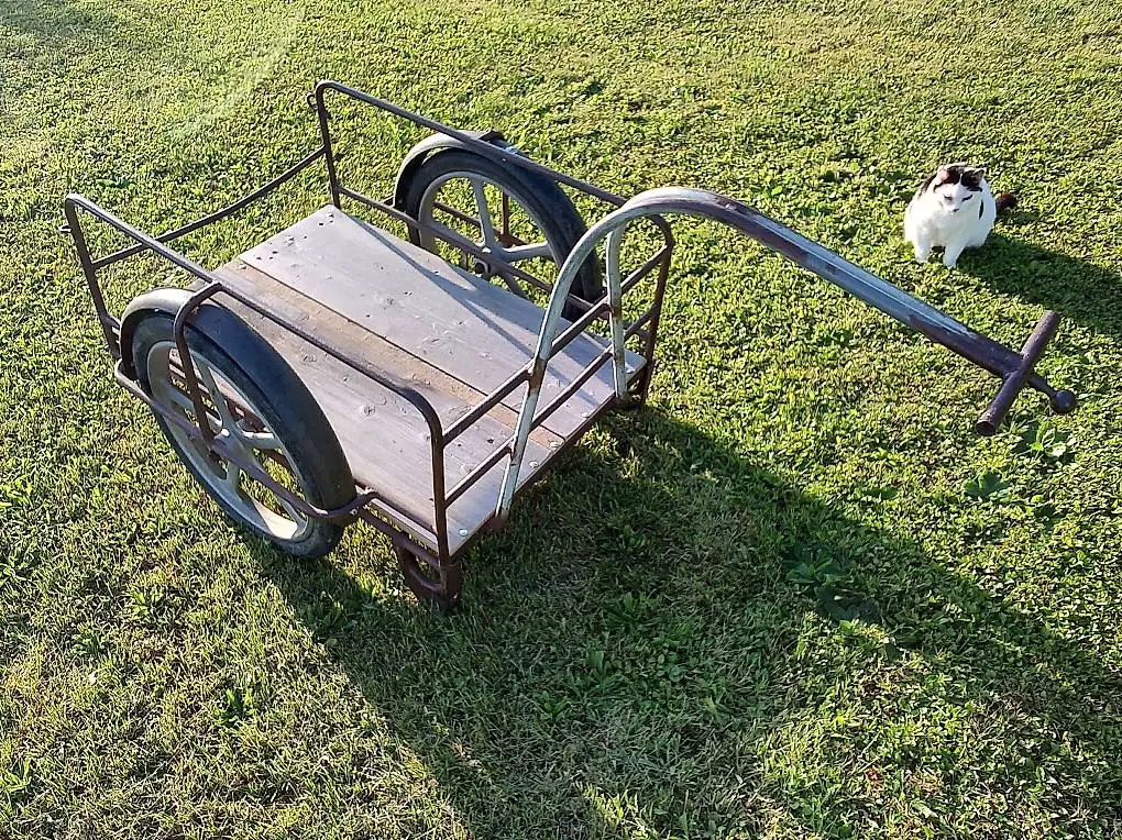 Velo-/ Mofa/ Töffli Anhänger