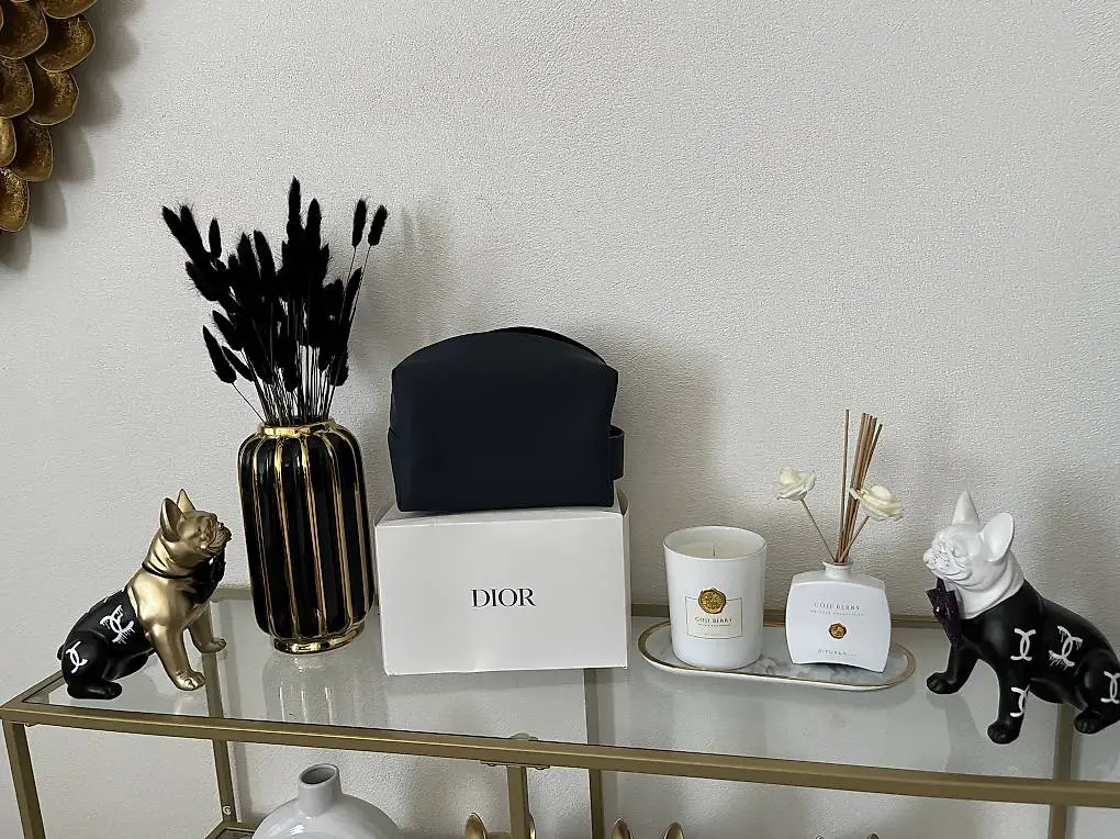 Dior Necessaire neue