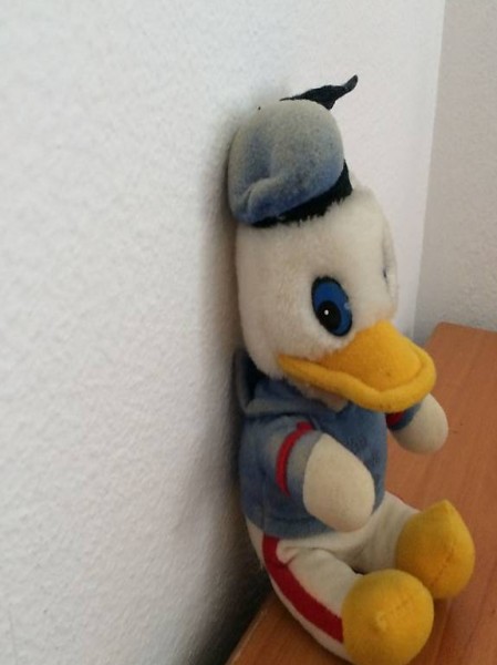 Donald Duck