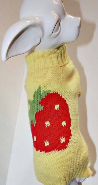  F+M Strickpulli ERDBEERE gelb für chihuahua