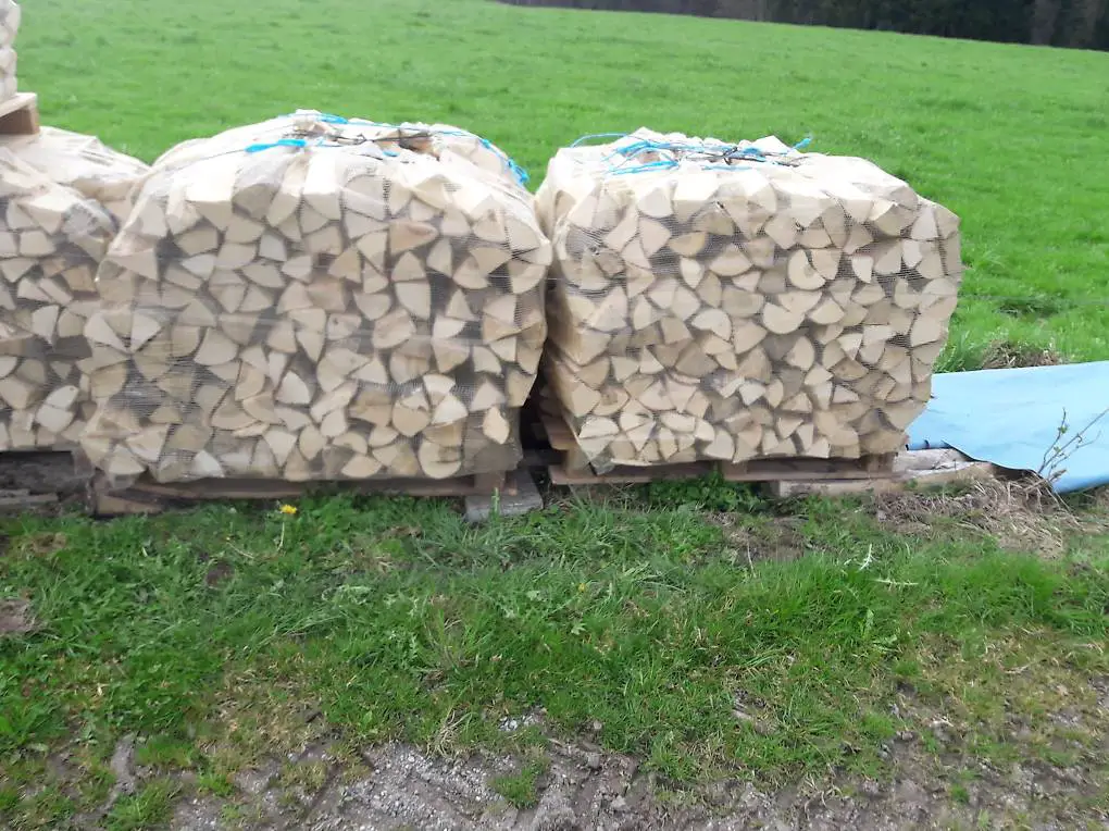 Brennholz, Holzofen Schitli, Grillholz