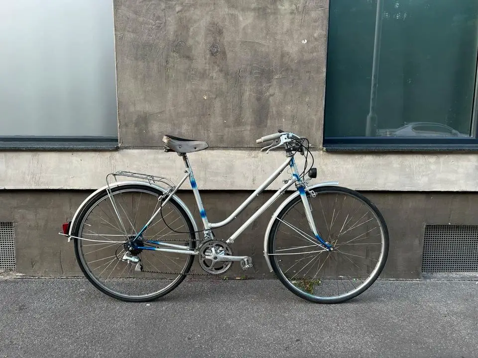 Halbrenner Allegro RH 52cm (Stahlrahmen 28”) Shimano 105 / Tiagra