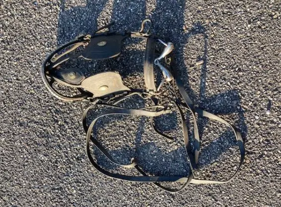 Kutschen Kopfgeschirr mit Scheuklappen und Brustzeug