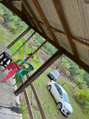 Brasilien 40 Ha Tiefpreis-Grundstück Früchtefarm