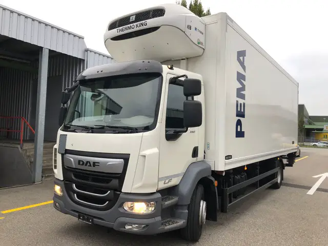 DAF, LF 260 FA 4x2 Kühl-LKW, Kühlfahrzeug