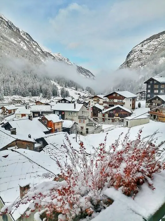 Lärchenheim Saas-Balen für Naturliebhaber, Ski-und