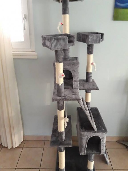  Vendo NUOVO Tiragraffi Gatto