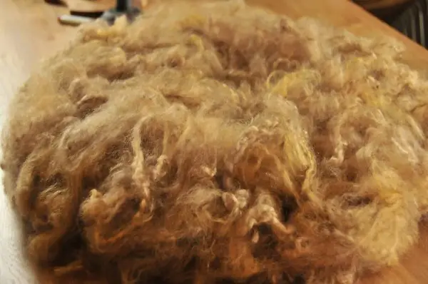 Füllmaterial für Baby Photographie z.B. Korb, Bett, lose,..