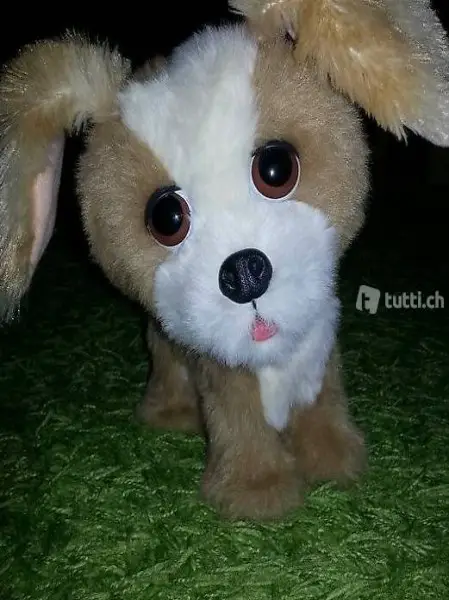 Hasbro beweglicher Hund