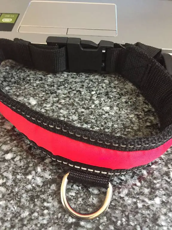Hundehalsband Leuchti