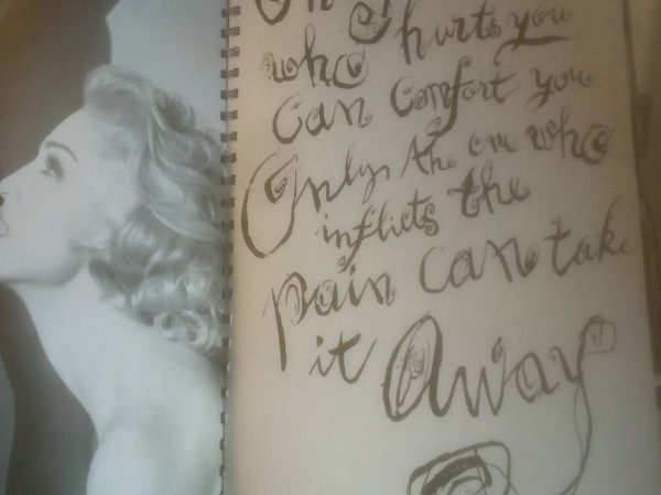 Libro di Madonna "sex", ca. 120 pagine,b/n