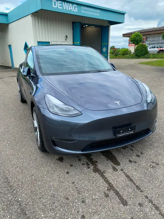 TESLA Model Y Long Range D