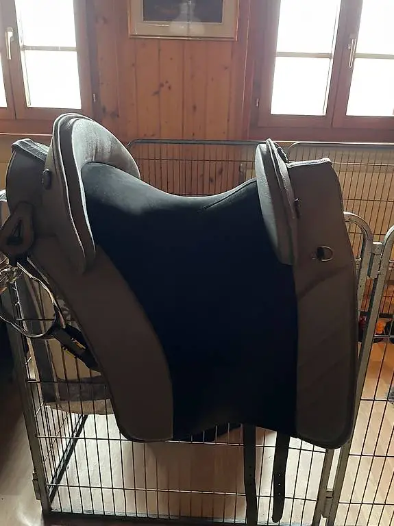 Barocksattel, schwarz-grau von Martin Breitler