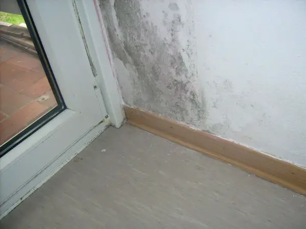 Sachverständiger BAU Schäden- mit Lösungsfindung