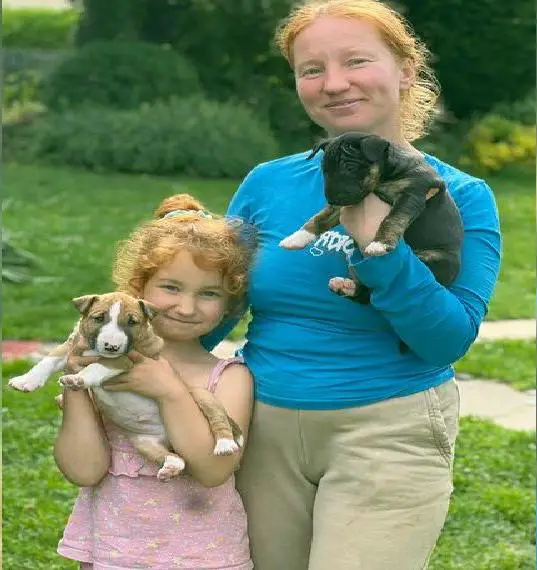 Miniatur Bullterrier FCI Vanilla Bulls Rüden aus der TOP - Zucht