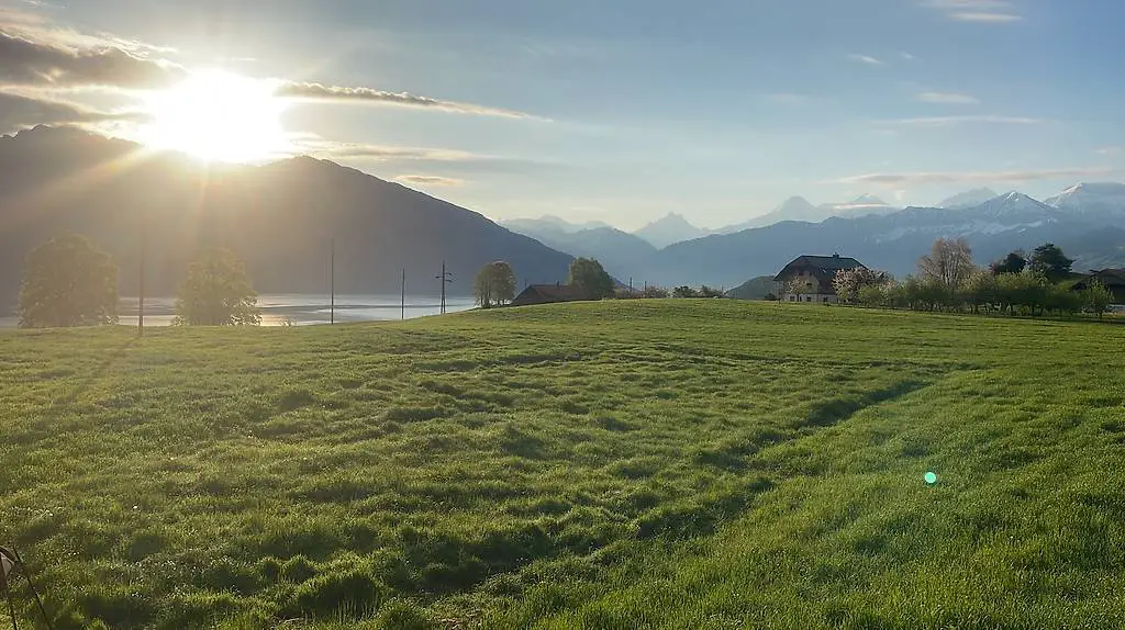 Suche Putzhilfe mit Erfahrung