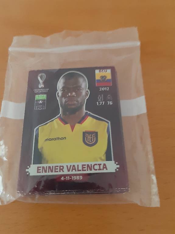 Panini WM 2022 32 Sticker von Top Stars Swiss Oryx Edition