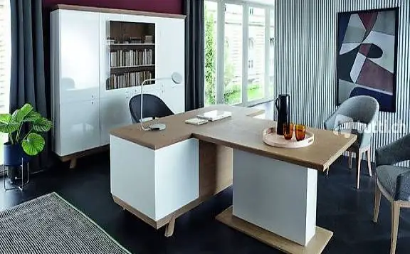  ARZT BÜRO KANZLEI EINRICHTUNG SET GARNITUR BESPRECHUNGSTISCH