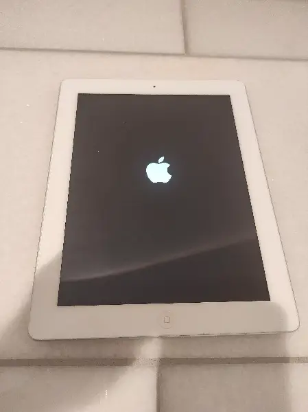 Apple iPad (Mod. MD513GP/A)