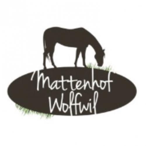 Zucht-, Ausbildungs- und Pensionsstall Mattenhof