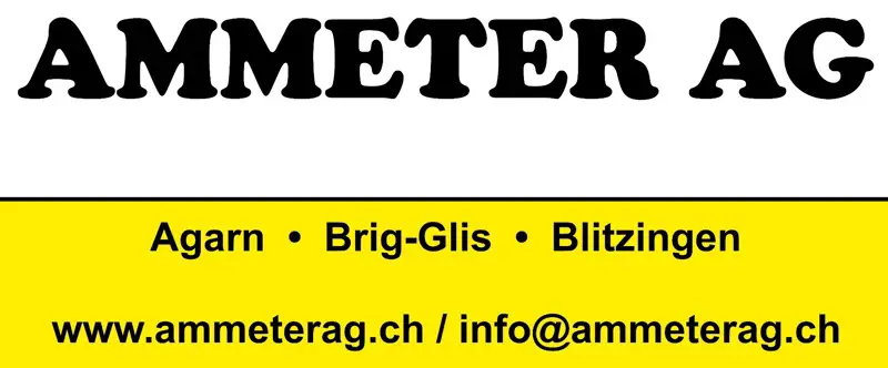 Zweiachsmäher Reform Metrac H 75 Occ.