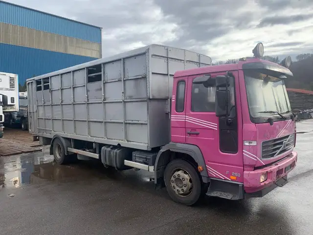 VOLVO, FL5H-250, Pferdetransporter