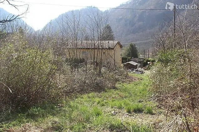  pianeggiante e tranquilla / eben und sonnig