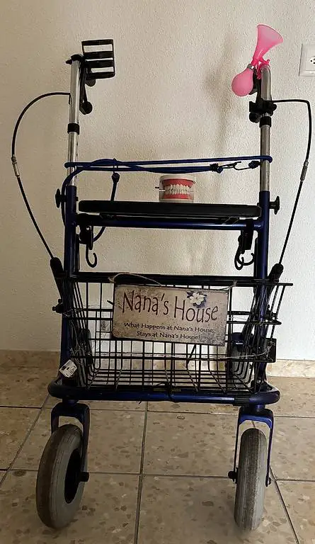 Fasnachts-Rollator mit Charme