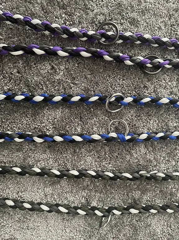 Hundeleinen mit Namen