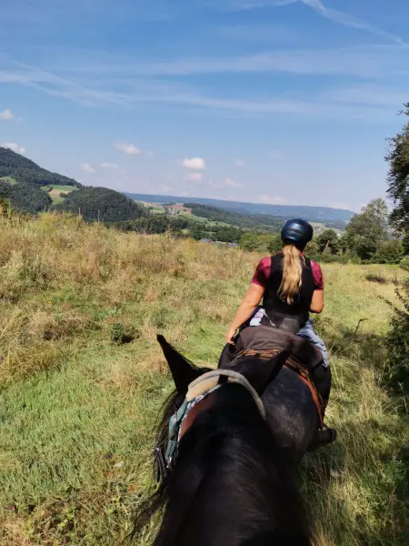 Reitstunden und Ausritte