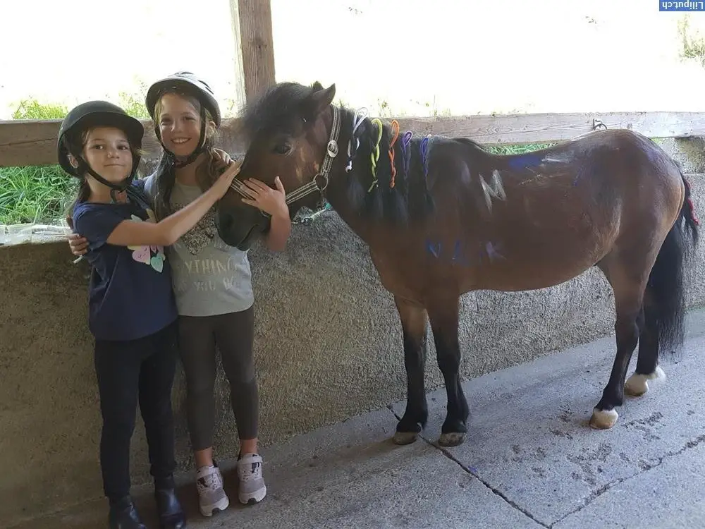 Pony-Reitschule für Kinder ab 3-8 Jahren in Busswil bei Wil SG