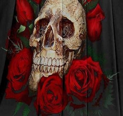  Decke Totenkopf mit Rosen
