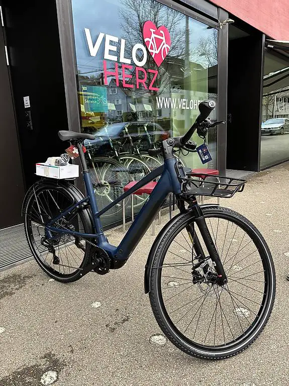Cresta eEterna Purion 200 Bosch Ebike Velo