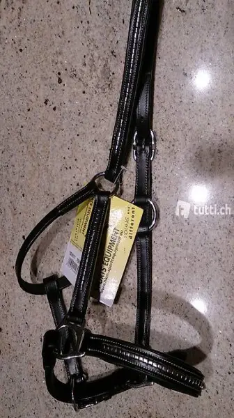 Pony Halfter aus schwarzem Leder mit Nieten nagelneu