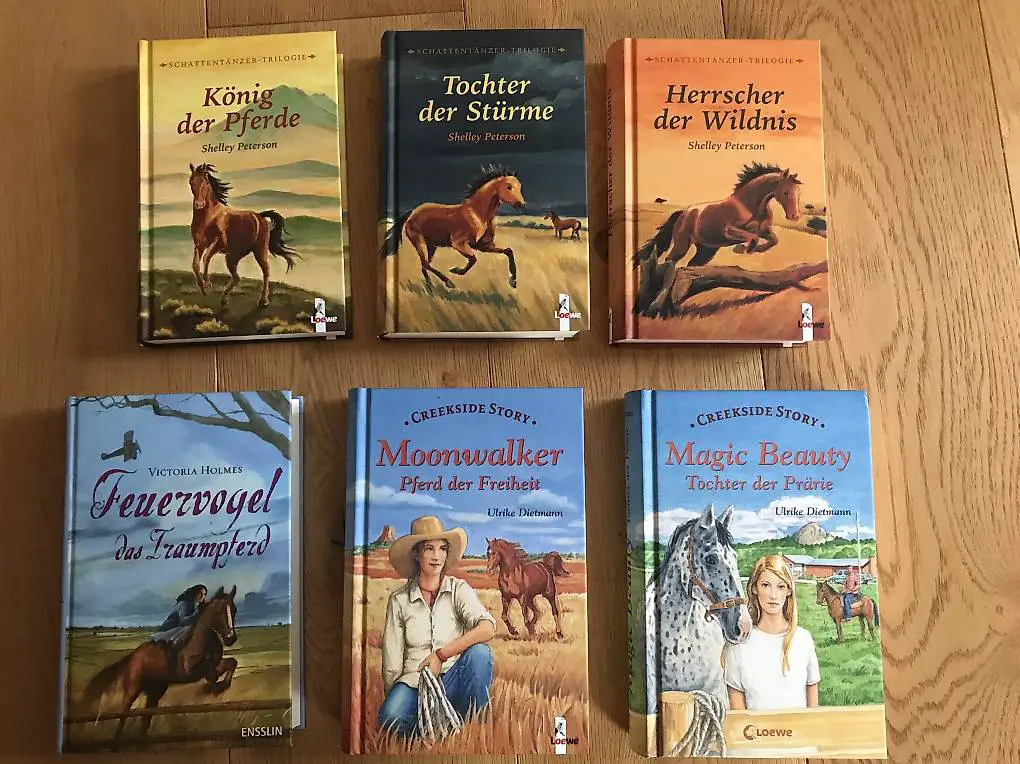 Jugendbücher Pferdegeschichten